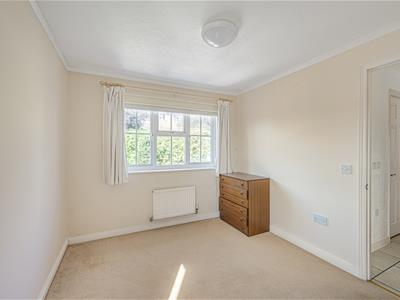 Picture 28